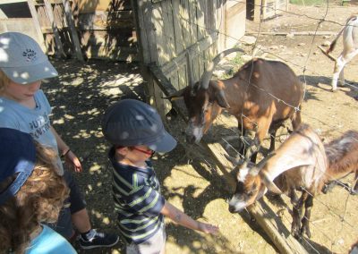 Ferme Pédagogique Aoueille Gers