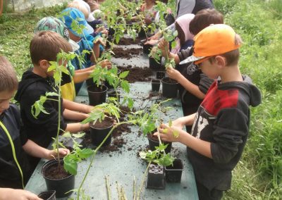 Ferme Pédagogique Aoueille Gers