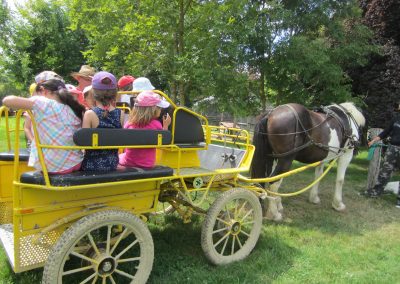Ferme Pédagogique Aoueille Gers