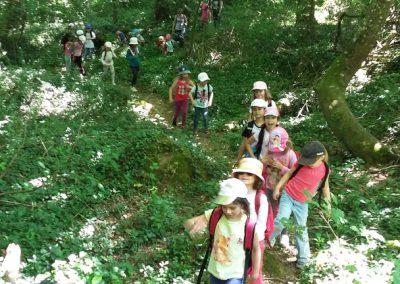 Ferme Pédagogique Aoueille Gers