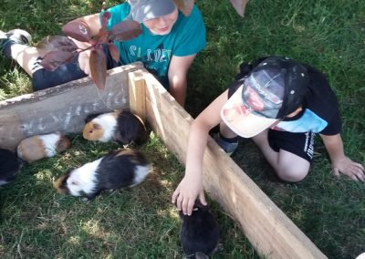 Ferme Pédagogique Aoueille Gers